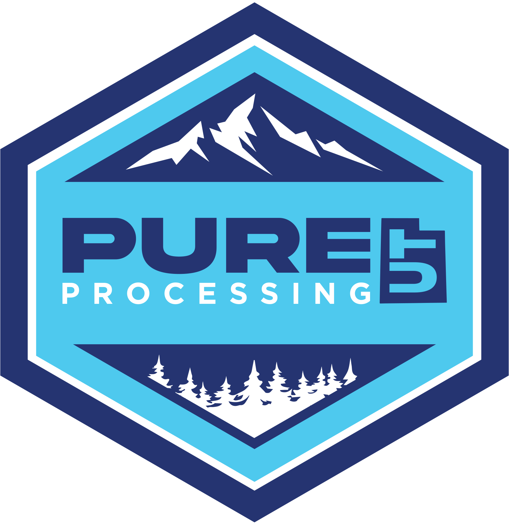 Pure UT Processing
